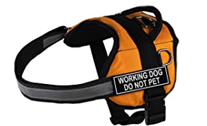 Dean & Tyler Works Working Dog Do Not Pet Harness